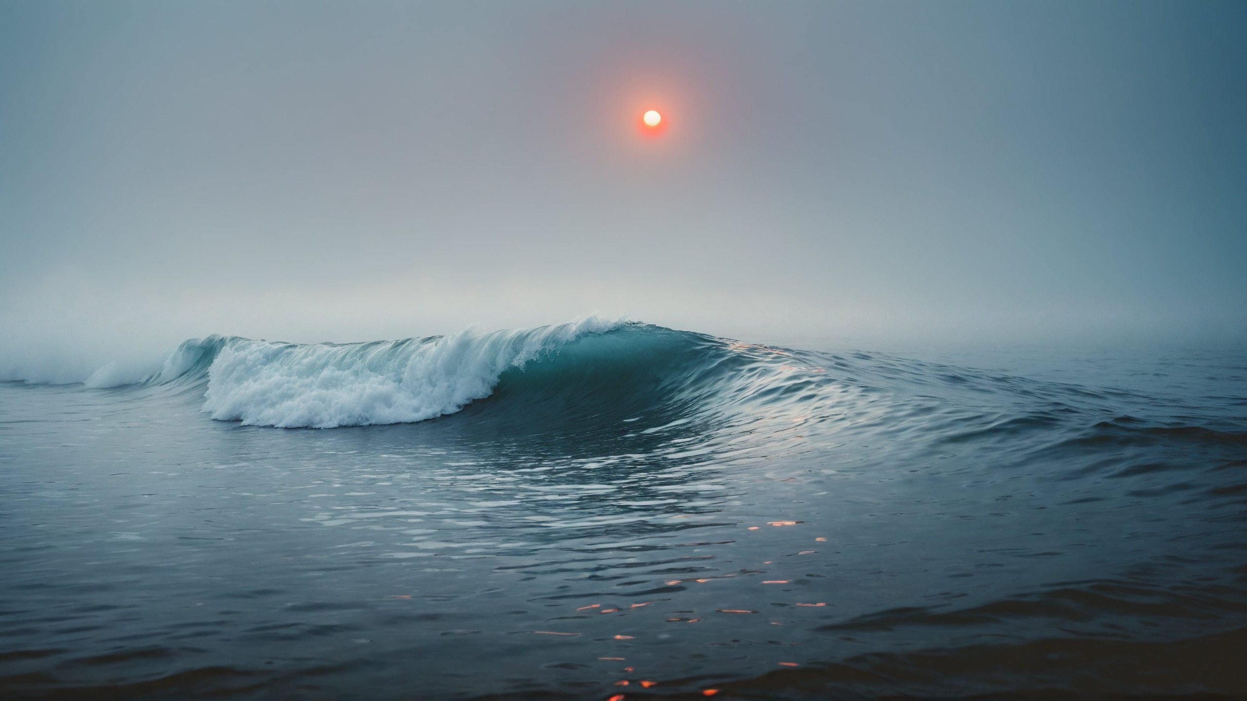 Perfekte Welle im Ozean bei Sonnenuntergang – Kontakt zu learn2surf für Surf-Tipps und Beratung.